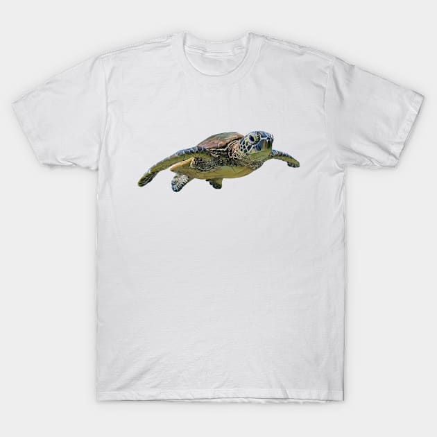 Turtle T-Shirt by sibosssr